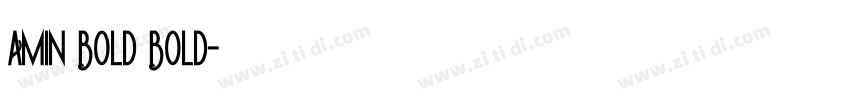 Amin Bold Bold字体转换